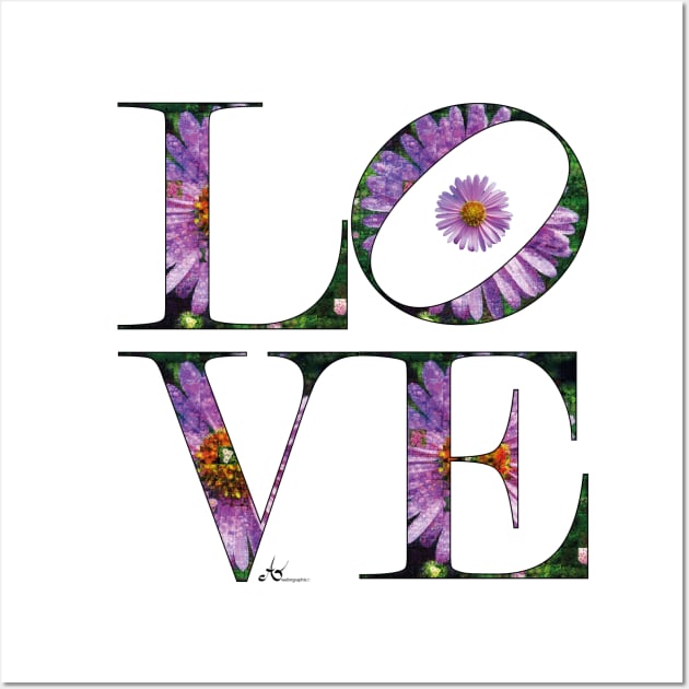 LOVE Letters September Birth Month Aster Wall Art by Symbolsandsigns